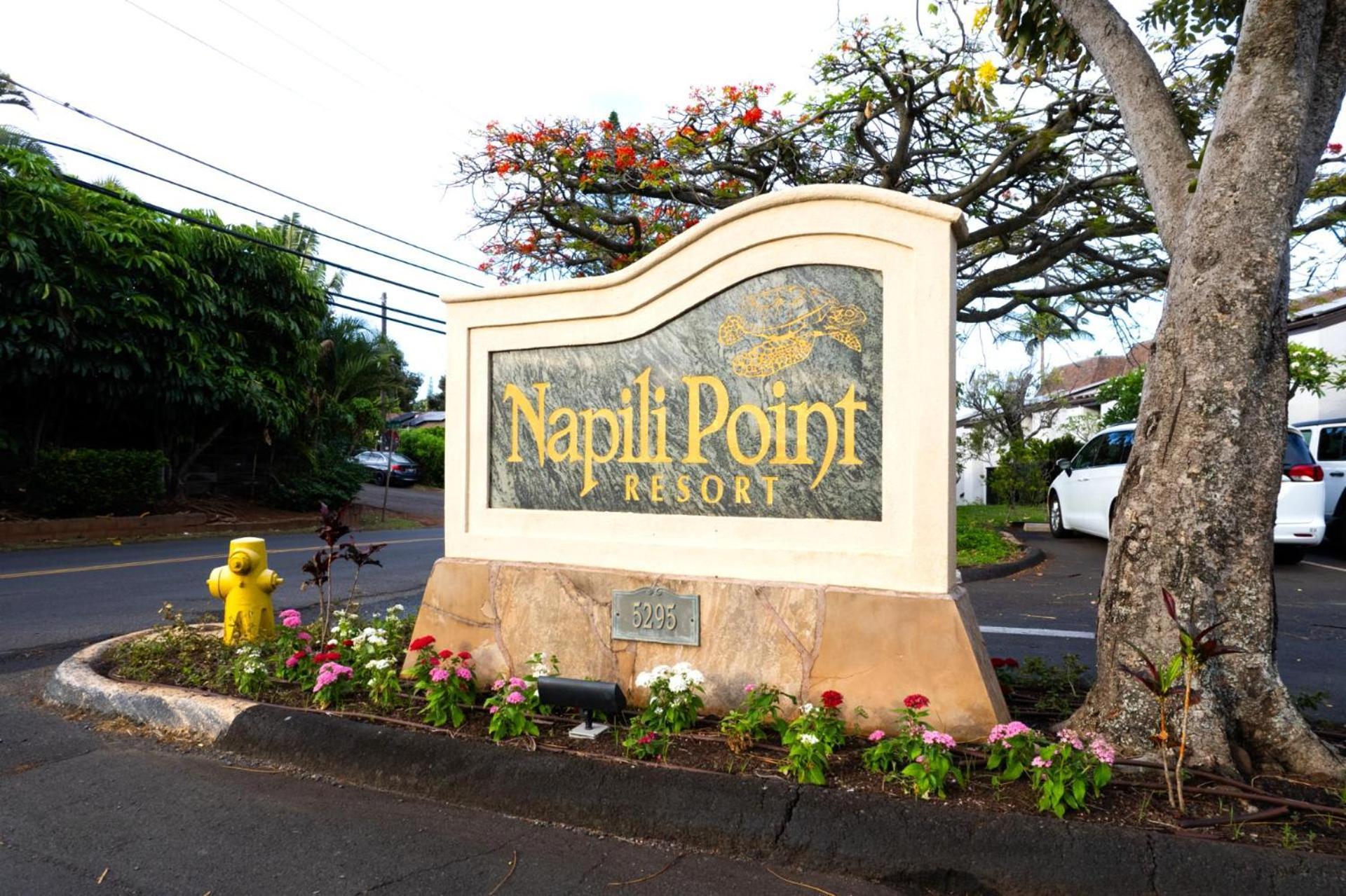 Kbm Resorts Free Car Napili Point Nap-C18 Ocean Front Spacious Villa 卡普鲁亚 外观 照片